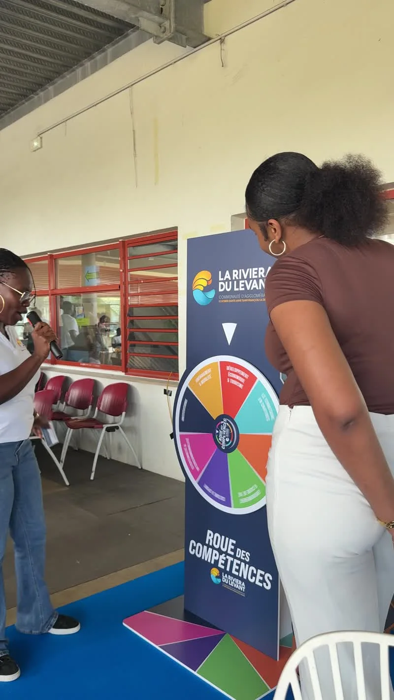 Photogramme montrant la Roue des compétences lors d’une animation avec des participants